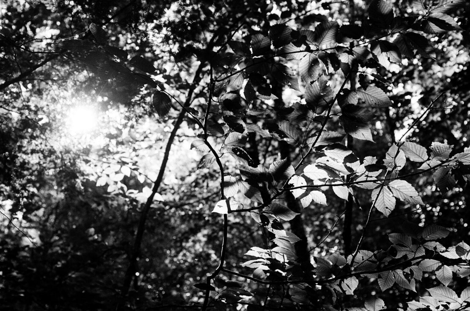 APPEL DE DOSSIERS : ÊTRE ARTISTE QUEER, VIVRE EN RÉGION